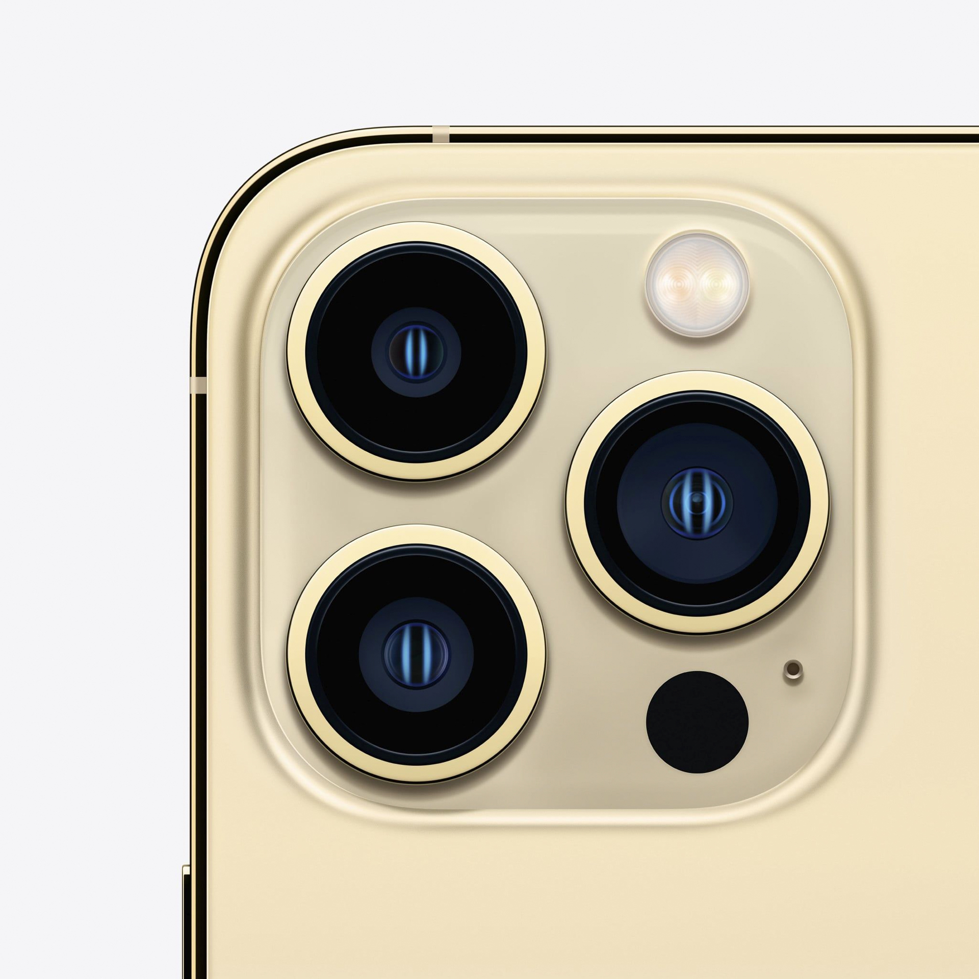 iPhone 13 Pro Gold - 5-year warranty - 00AB0279AE | Forall