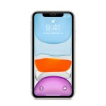 Protection d'cran en verre tremp iPhone 11/XR