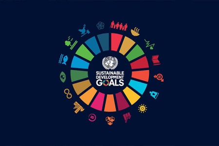 Sustainable Development Goals and How We Can Change the World