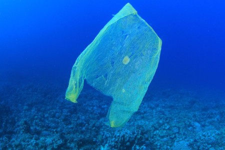 Ein Meer aus Plastik