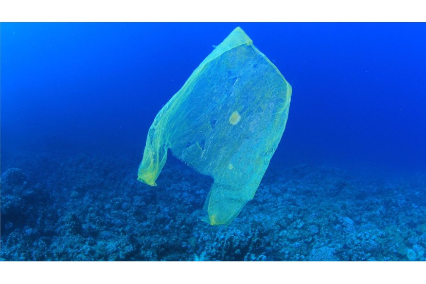 Ein Meer aus Plastik